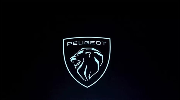 神龍集團戰(zhàn)略,神龍,東風(fēng)標(biāo)志