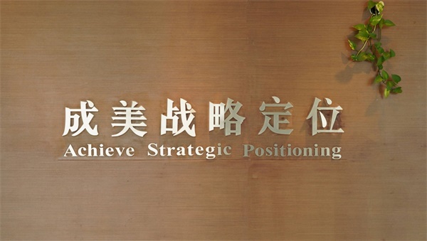國內(nèi)好的品牌戰(zhàn)略定位公司有哪些？